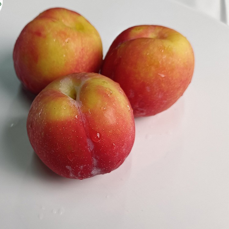 iqf pitted plums