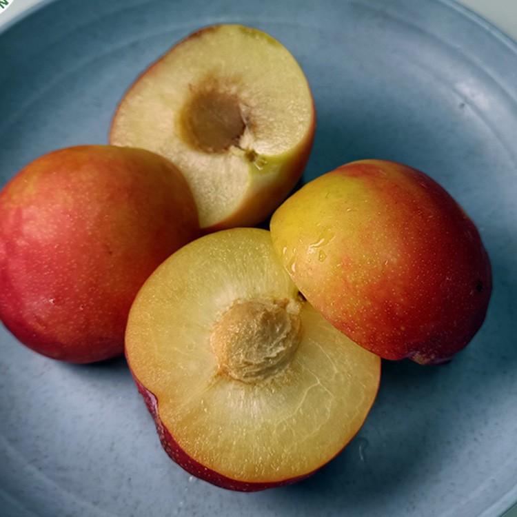 Frozen pitted plums